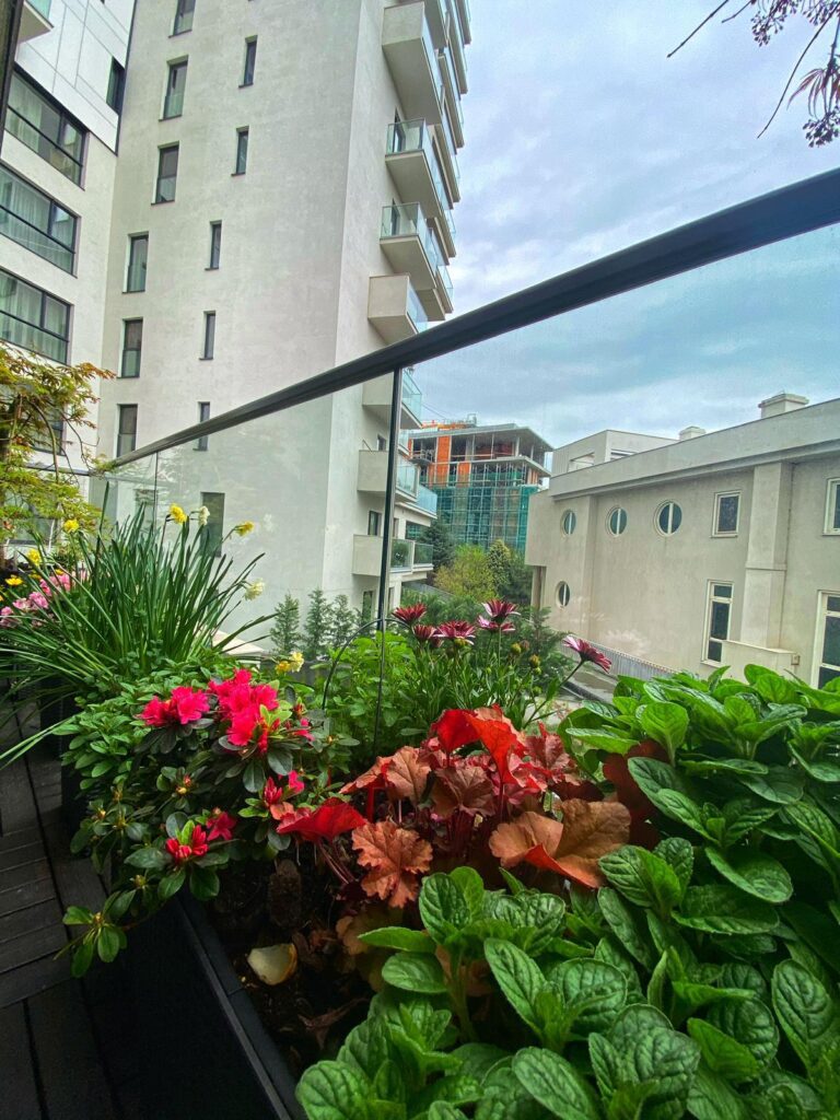 idei amenajare gradina in balcon