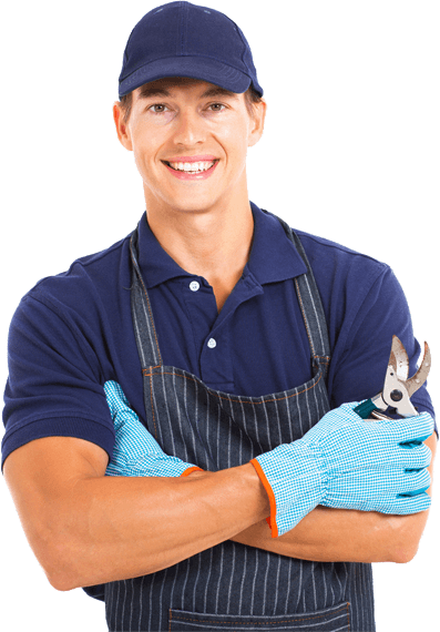 servicii de gradinarit bucuresti